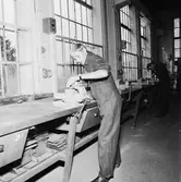 Nya lärlingar i lärlingskolan