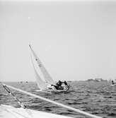 Segelbåten (Viggen)