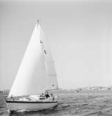 Segelbåten (Viggen)