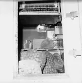 Apparatplacering å Jag. Uppland