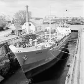 M/s Laila i Polhemsdockan