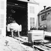 Namngivning ubåten sjöhästen