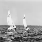 Segelbåten Viggen och L 32 till sjöss 