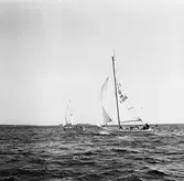 Segelbåten Viggen och L 32 till sjöss 