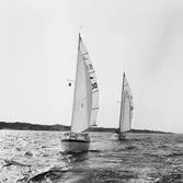 Segelbåten Viggen och L 32 till sjöss 