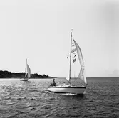 Segelbåten Viggen och L 32 till sjöss 