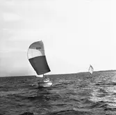 Segelbåten Viggen och L 32 till sjöss 