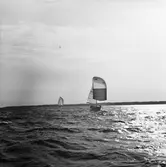 Segelbåten Viggen och L 32 till sjöss 