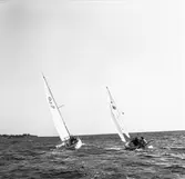 Segelbåten Viggen och L 32 till sjöss 