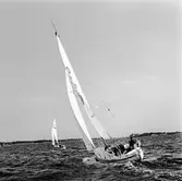 Segelbåten Viggen och L 32 till sjöss 