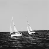 Segelbåten Viggen och L 32 till sjöss 