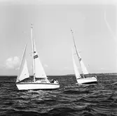 Segelbåten Viggen och L 32 till sjöss 