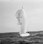 Segelbåten Viggen och L 32 till sjöss 