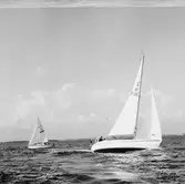 Segelbåten Viggen och L 32 till sjöss 