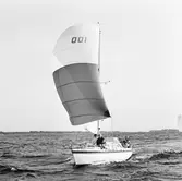 Segelbåten Viggen och L 32 till sjöss