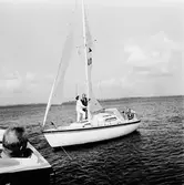 Segelbåten Viggen och L 32 till sjöss