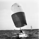 Segelbåten Viggen och L 32 till sjöss