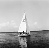 Segelbåten Viggen och L 32 till sjöss