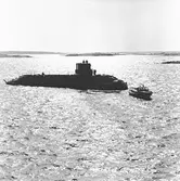 Sjösättning av ubåten sjöhästen 