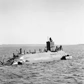 Sjösättning av ubåten sjöhästen 