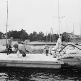 Viggen vid bryggan på Dragsö