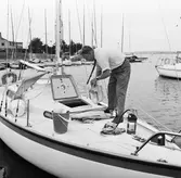 Viggen vid bryggan på Dragsö