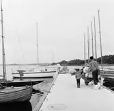 Viggen vid bryggan på Dragsö