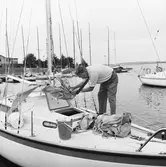 Viggen vid bryggan på Dragsö