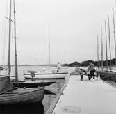 Viggen vid bryggan på Dragsö