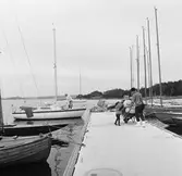 Viggen vid bryggan på Dragsö