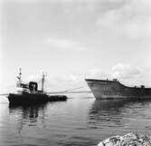 Tankbåten Petrotank