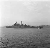 Kryssaren Tre kronor