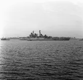 Kryssaren Tre kronor