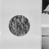 Microbilder Art.sekt