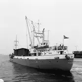 Förstäv på M/s Stella