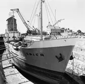 Civil båt M/s Spica