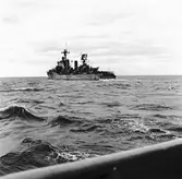 Jag. Halland provtur