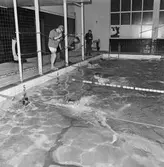 KKrvs mästerskap i simning