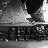 Jag. Södermanland centralsikte