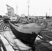 M s Oktant i docka 4