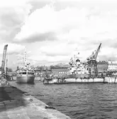 M s Meolina i docka 4