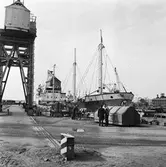 M s Meolina i docka 4