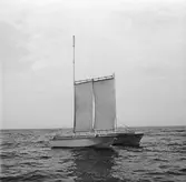 Målbåt under bogsering