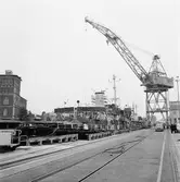 Isbrytaren Ymer o Thule i oscarsdockan