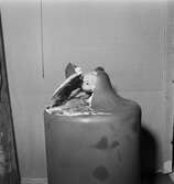 Provbelastning av antennanpassare