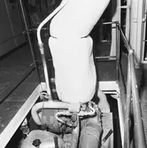 Int av minfartyget Älvsborg 