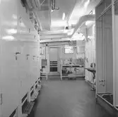 Int av minfartyget Älvsborg 