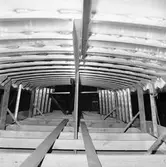 Överbyggnad till Bisquaia