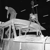 Överbyggnad till Bisquaia