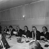 Företag nämdens pensionärsfest